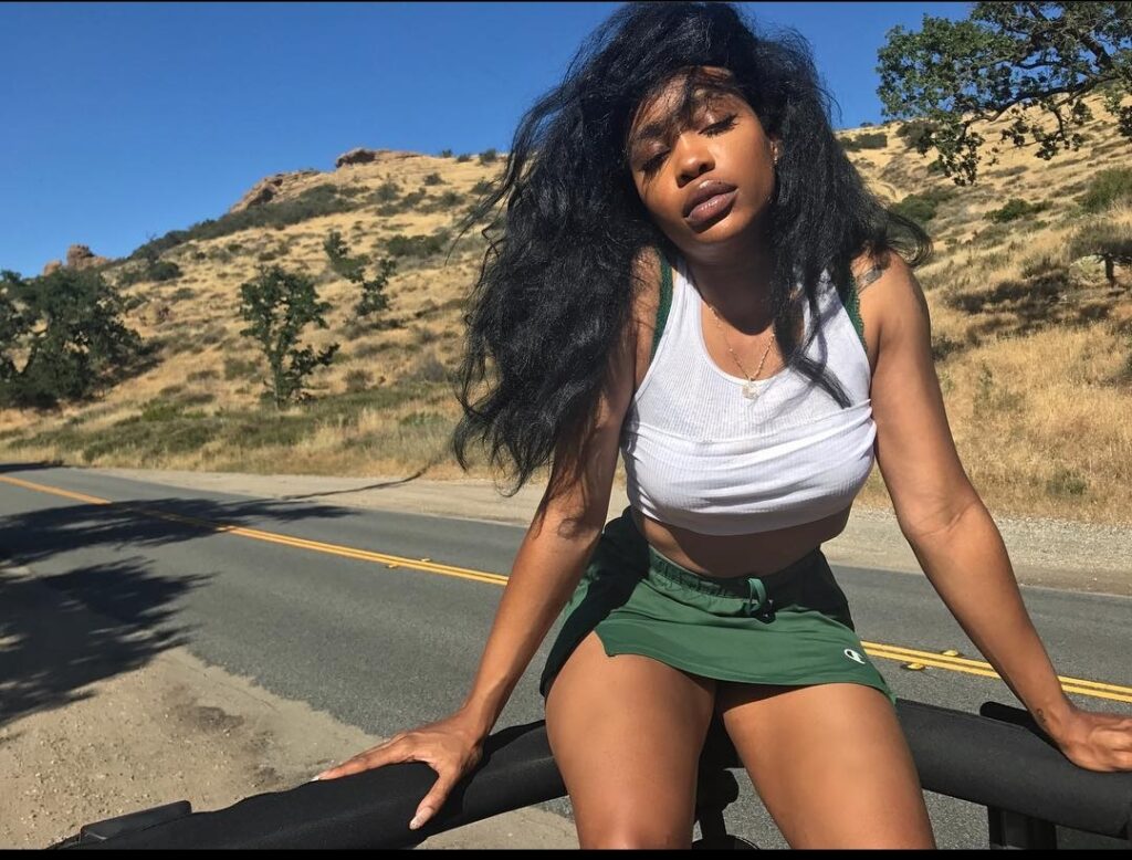 sza-plastic-surgery