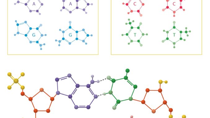 peptide-synthesis