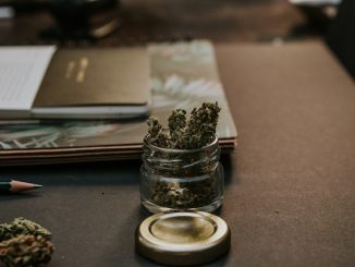 cbd-cannabis-best-online