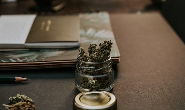 cbd-cannabis-best-online